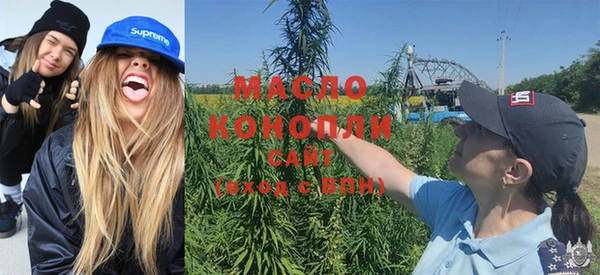 гидропоника Алзамай