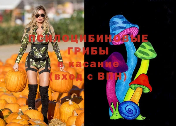 ALPHA PVP Алексин