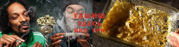 гидропоника Алзамай